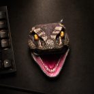 Handcrafted Raptor AirPods Case - view 4