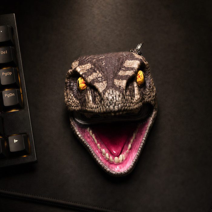 Handcrafted Raptor AirPods Case - view 4